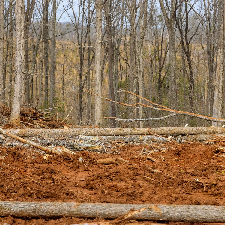 Equipment Rental in Houston, TX